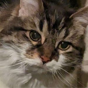 Meet your Posher, Madeline